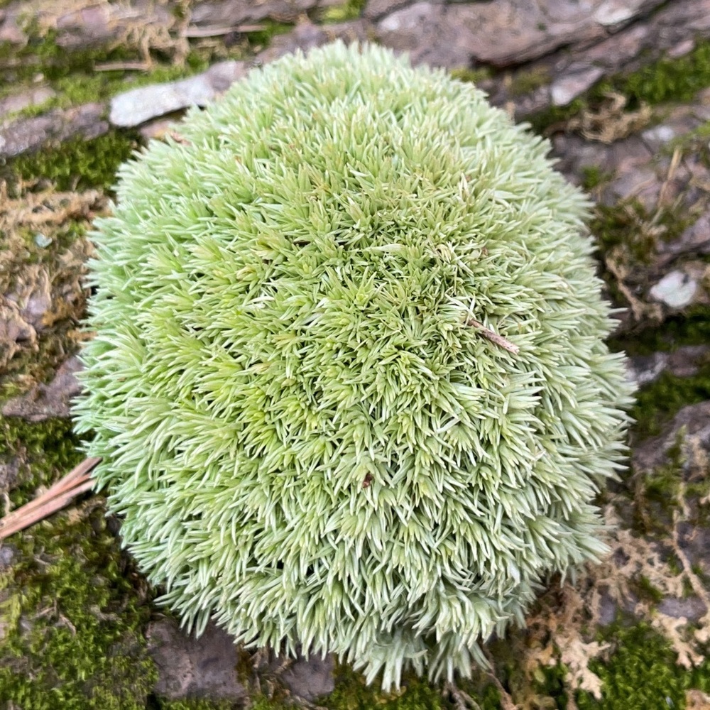 Meet your Posher, Jeremy